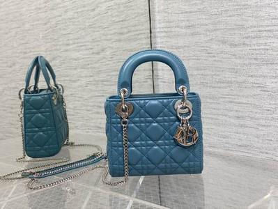 DIOR Handbags 565